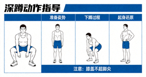 健身训练动作指导示意图